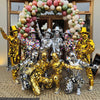 The Mirror parade The Mirror parade
