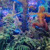 Bodypaint jungle Bodypaint jungle