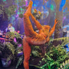 Bodypaint jungle Bodypaint jungle
