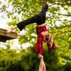 Show acrobatiek