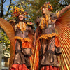 Herfstpracht op Stelten