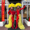 Festival firebirds